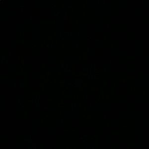 Meet your Posher, Peyton